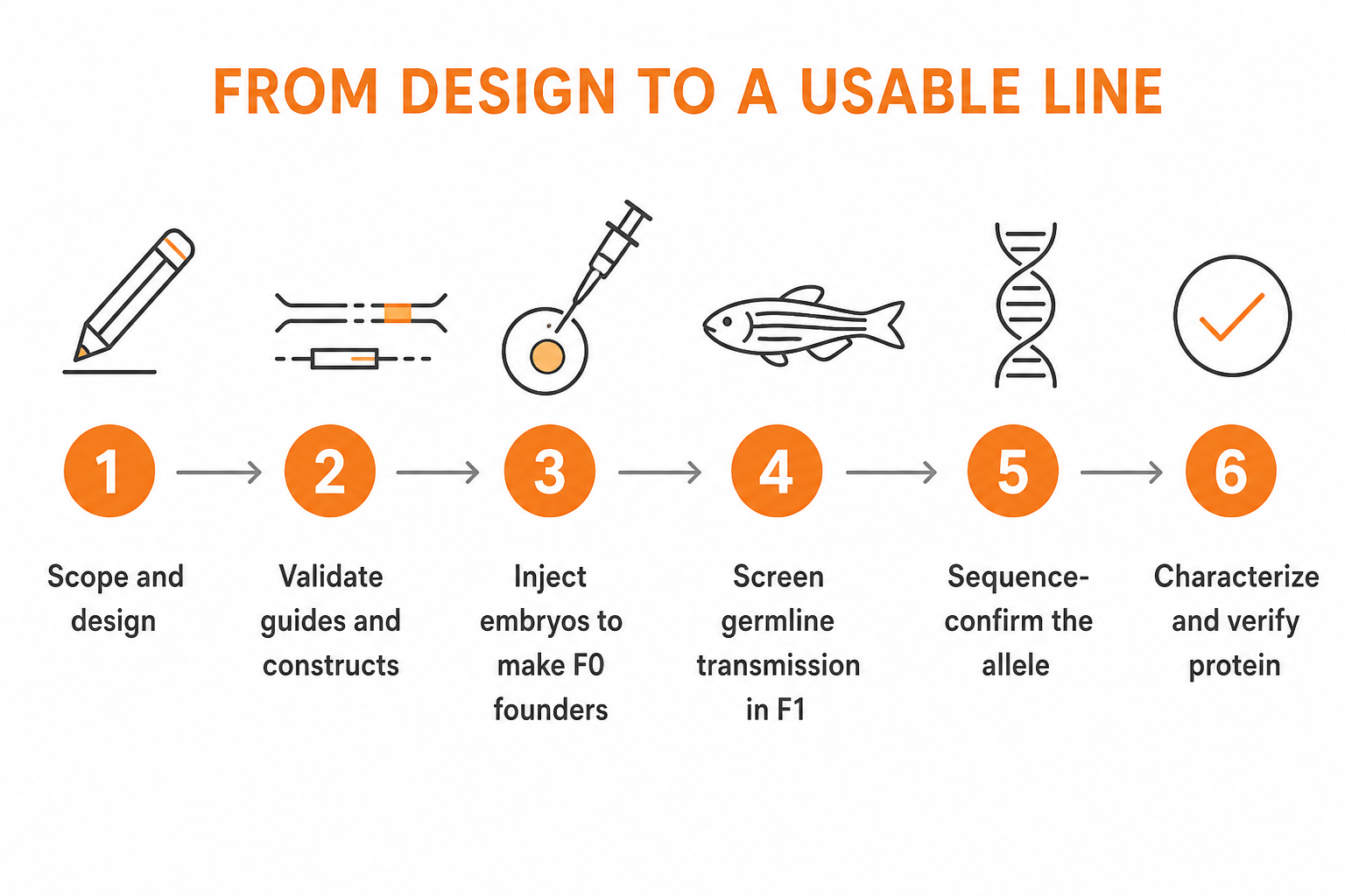 clean flat vector infographic on a white background titled FROM DESIGN TO A USABLE LINE showing a left-to-right flow of six numbered circles in orange connected by thin grey arrows, with labels under 