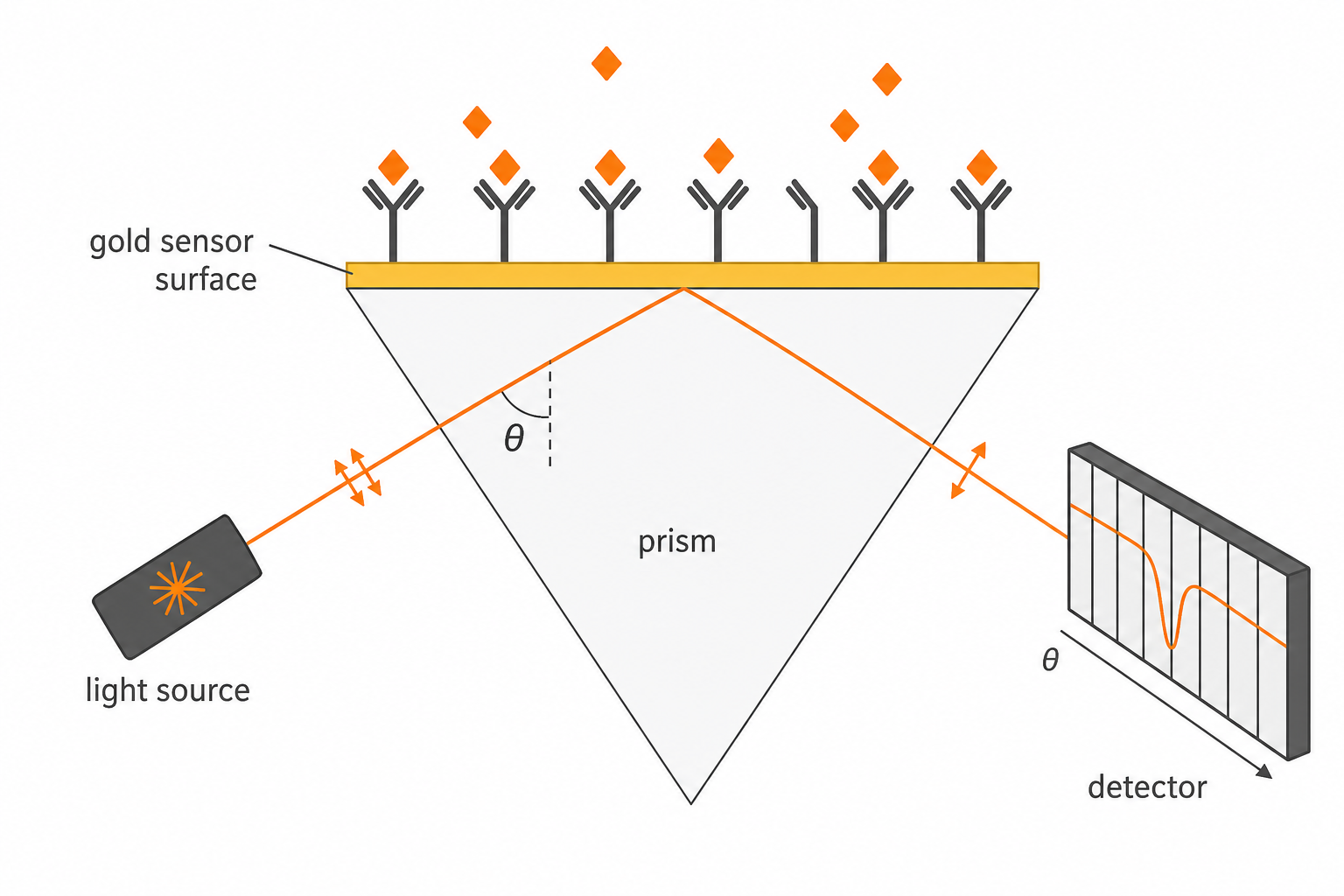 Diagram of an SPR setup: light source, prism, gold sensor surface and detector