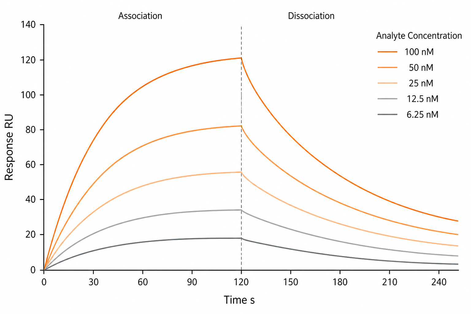 Illustration of overlapping sensorgram curves for a series of analyte concentrations
