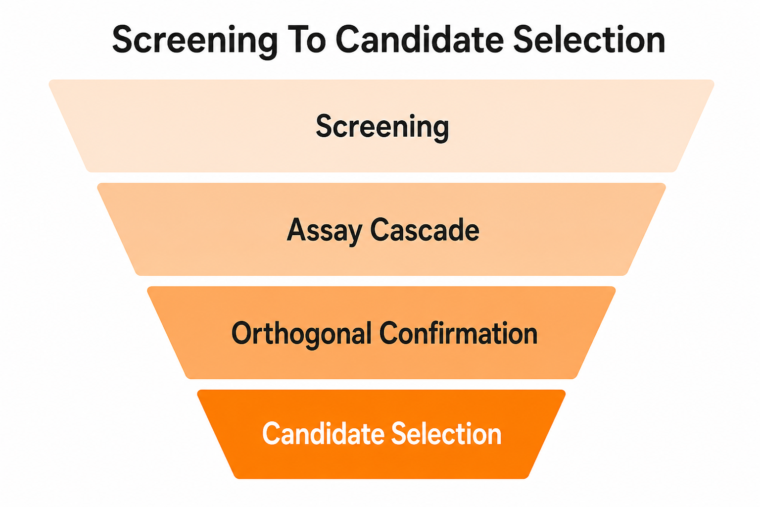 Funnel diagram of the steps from screening to candidate selection