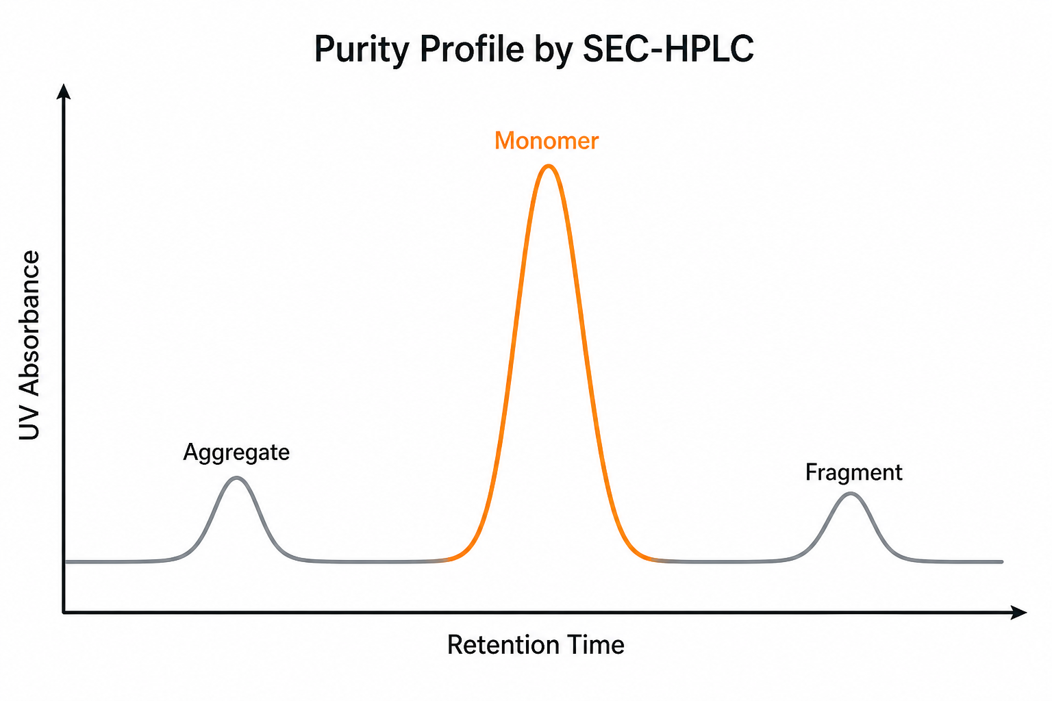 SEC-HPLC schematic showing aggregate, monomer and fragment peaks in elution order